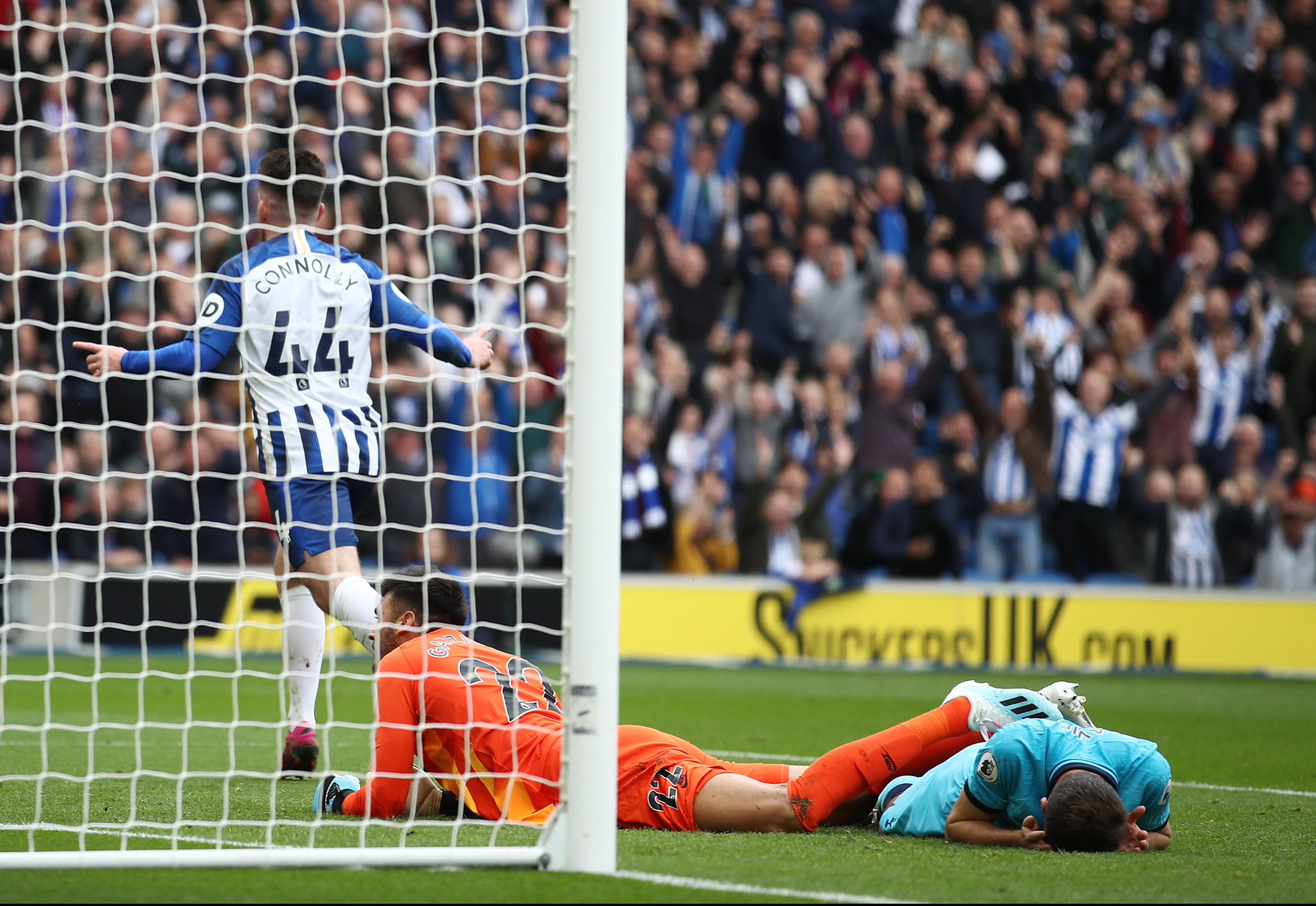 在这一租借 在这一租借